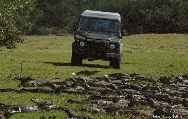 Fazenda Baa Das Pedras - Fazenda - Pantanal - Hospedagem - Natureza - Turismo - Mato Grosso