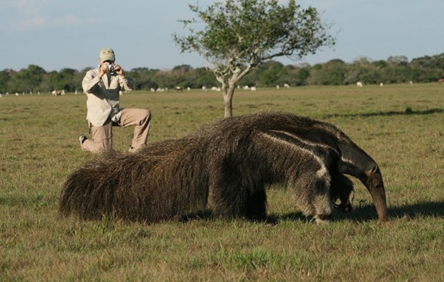 Fazenda Baa Das Pedras - Fazenda - Pantanal - Hospedagem - Natureza - Turismo - Mato Grosso