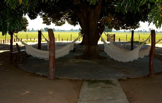 Fazenda Baa Das Pedras - Fazenda - Pantanal - Hospedagem - Natureza - Turismo - Mato Grosso