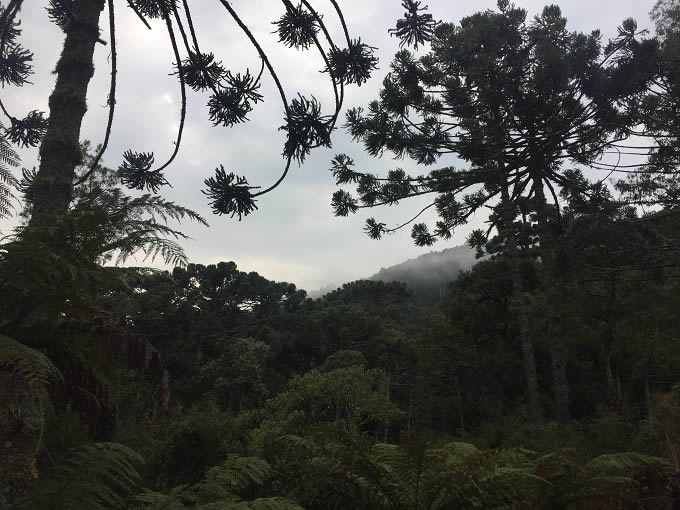 Natureza Fazenda Hotel Itapu Monte Verde MG