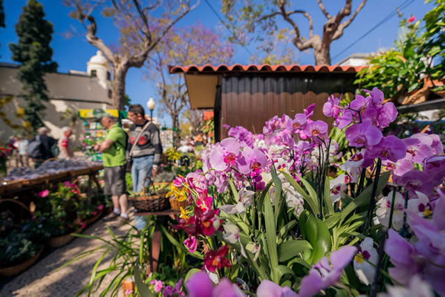 Festa da Flor - Ilha da Madeira - Portugal