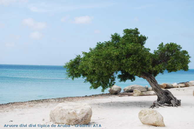 Festival Internacional de Cinema de Aruba 2015