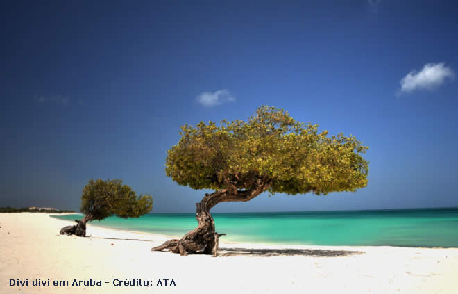 Festival Internacional de Cinema de Aruba 2015