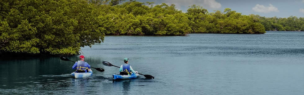 Great Calusa Blueway Paddling Trail