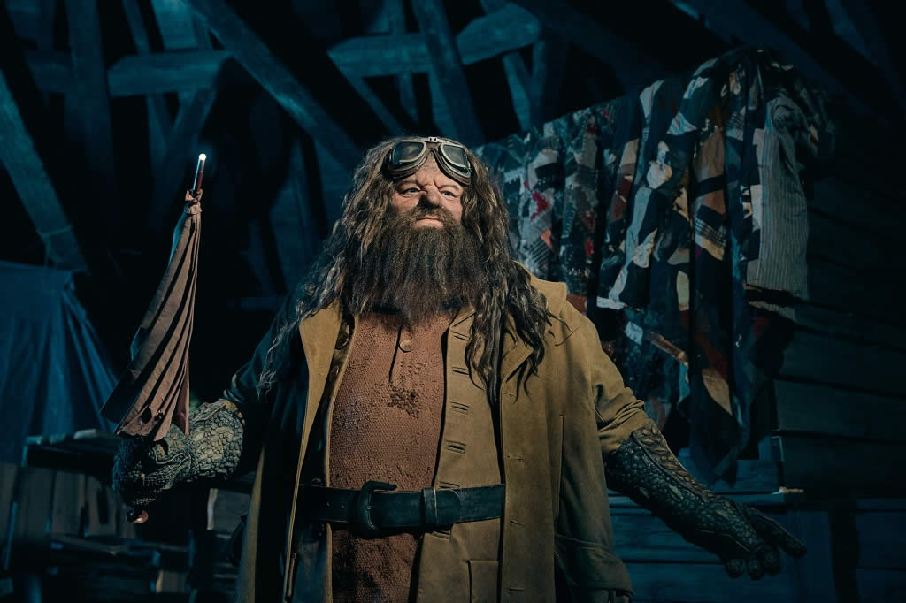 Hagrids Magical Creatures Motorbike Adventure