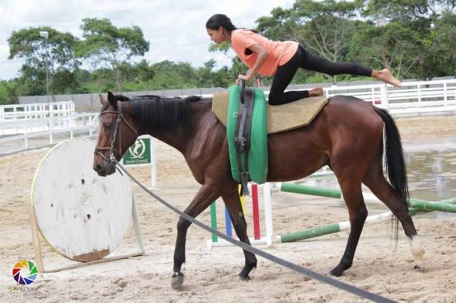 Dia das Mães na Fazendo Hípica Nova Canaã, Santa Isabel, SP‏: Terapias, Hipismo e Pilates