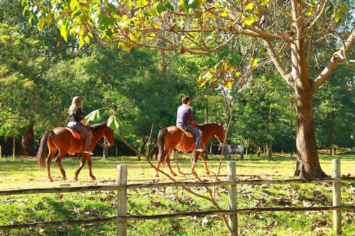 Hotel Fazenda Mazzaropi