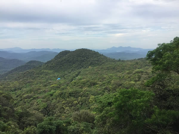 Fique por dentro de um dos passeios de trem mais bonitos do mundo