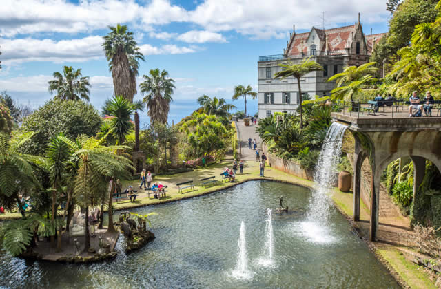 Flores e frutos exticos na Ilha da Madeira, Portugal - Ilha da Madeira, Funchal, Mercado dos Lavradores, Portugal, Europa