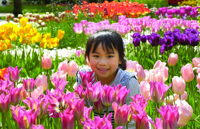 Keukenhof - Garden - Holland Alliance - Jardins - Netherlands - The Netherlands - Flores - Tulip - Tulipas