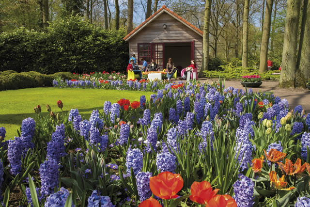 Keukenhof - Garden - Holland Alliance - Jardins - Netherlands - The Netherlands - Flores - Tulip - Tulipas