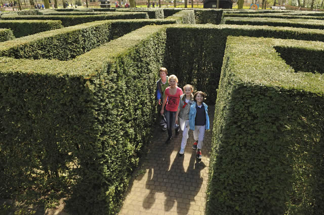 Keukenhof - Garden - Holland Alliance - Jardins - Netherlands - The Netherlands - Flores - Tulip - Tulipas