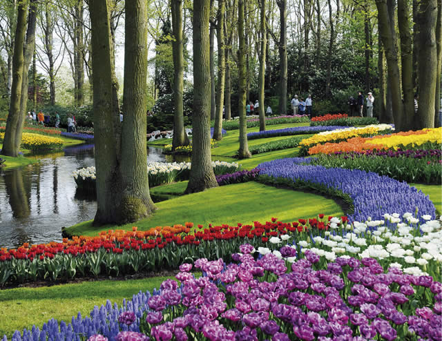 Keukenhof - Garden - Holland Alliance - Jardins - Netherlands - The Netherlands - Flores - Tulip - Tulipas