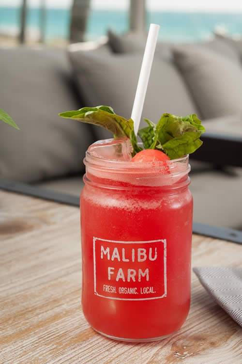 Malibu Farm - Eden Roc Resort Miami Beach - Beach - Miami Beach