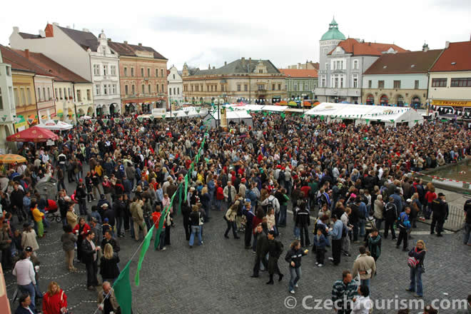 Palava Vinhedos-Czech Tourism