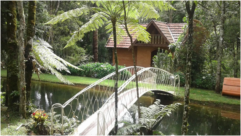 Monte Verde, Serra da Mantiqueira 