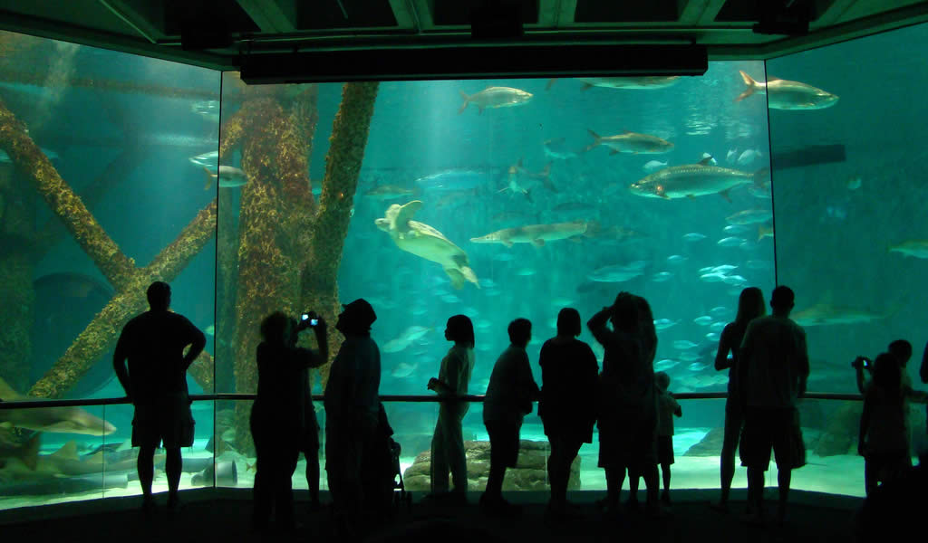 Monterey Bay Aquarium