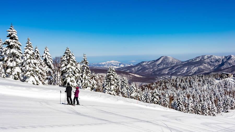 Em Shiga Kogen  possvel esquiar, praticar snowboard, passear de snowmobile, descer encostas de snow tubing e fazer caminhadas guiadas com calados de neve - Foto: Shutterstock