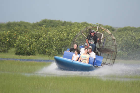 Everglades - Nature Festival