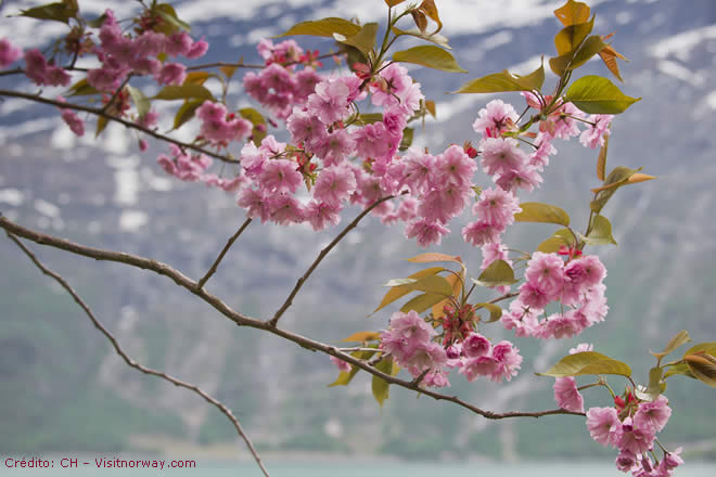 Norway-Noruega