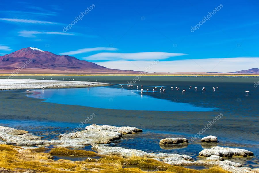 Nova Operadora - Grupo Forma - Pustynia Atacama - South African Airways