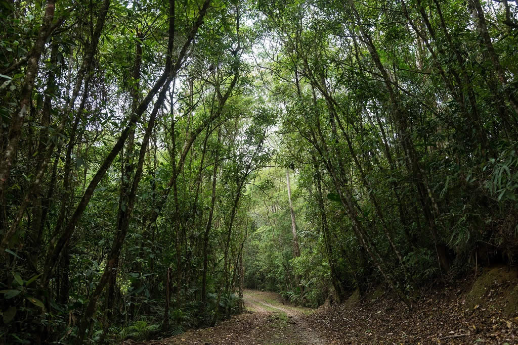 Parque das Neblinas