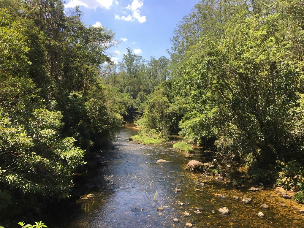 Parque das Neblinas