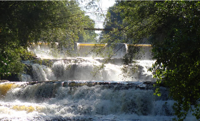 Parque dos Saltos