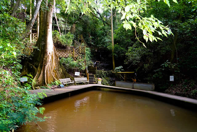  Parque Maeda - Parque - Turismo - Lazer - Destinos - Itu - Lago - Piscina - Arvorismo 