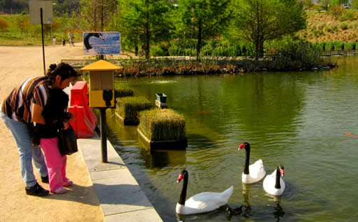 Parque Bicentenario - Chile on turismo-sa.com