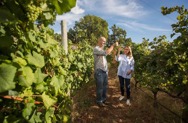 Passeio Vinicolas - Credito Turismo da Madeira