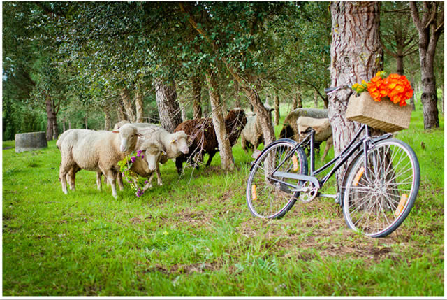 Portugal - Turismo Rural - Europa - Associao de Hotis Rurais de Portugal (AHRP) - Portuguese Rural Experiences 360 