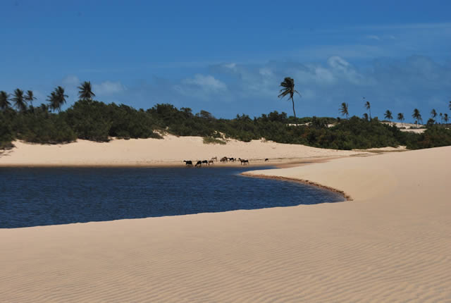 Prainha do Canto Verde