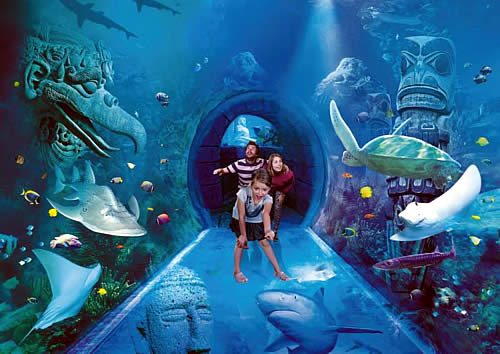SEA LIFE Orlando Aquarium anuncia Turtle Fest