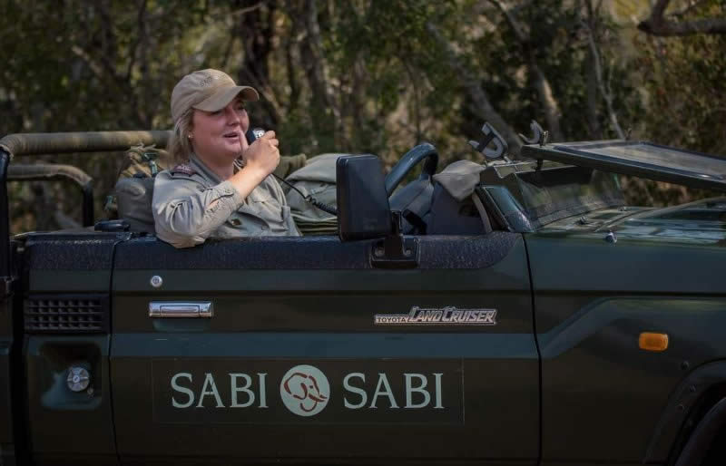 Safári - Sabi Sabi Private Game Reserve - Kruger National Park - África - Natureza - ÁFrica