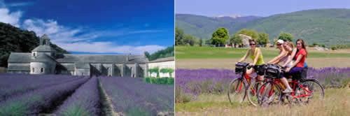 Provence-Alpes-Côte d’Azur - Saint-Tropez, a cidade agitada