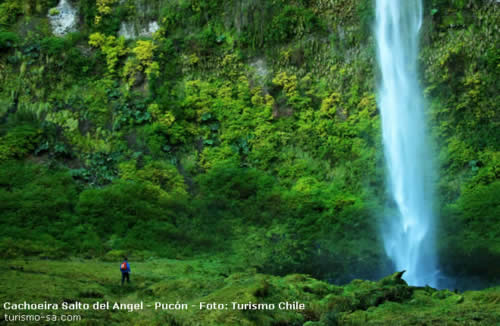 Pucón - Parque Antumalal, Chile