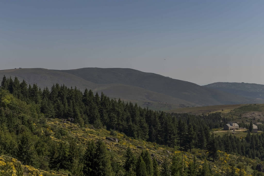 Serra da Estrela | Victor Carvalho