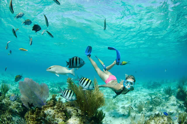  Snorkel - Ilhas Cayman - Cayman Island - Caribe - Caribbean - Islas - Isla