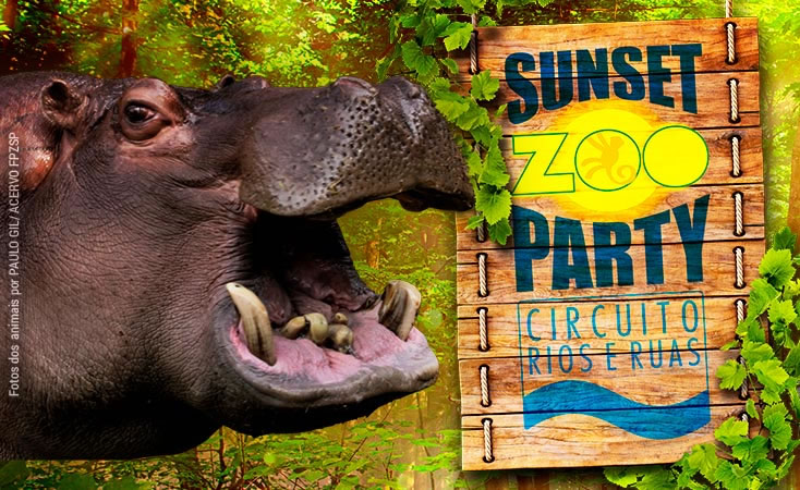Sunset Zoo Party - Zoológico de São Paulo
