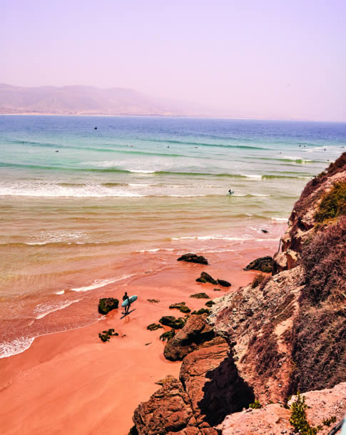 camels taghazout Morroco