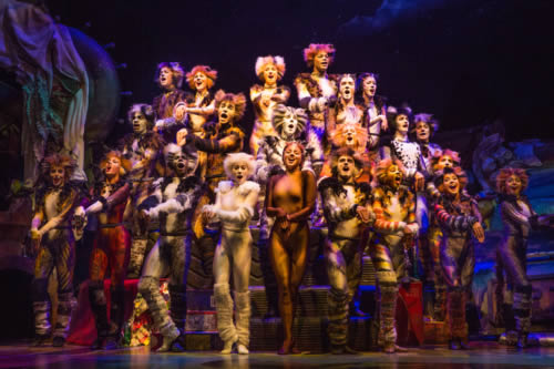 Cats retorna aos palcos da Broadway