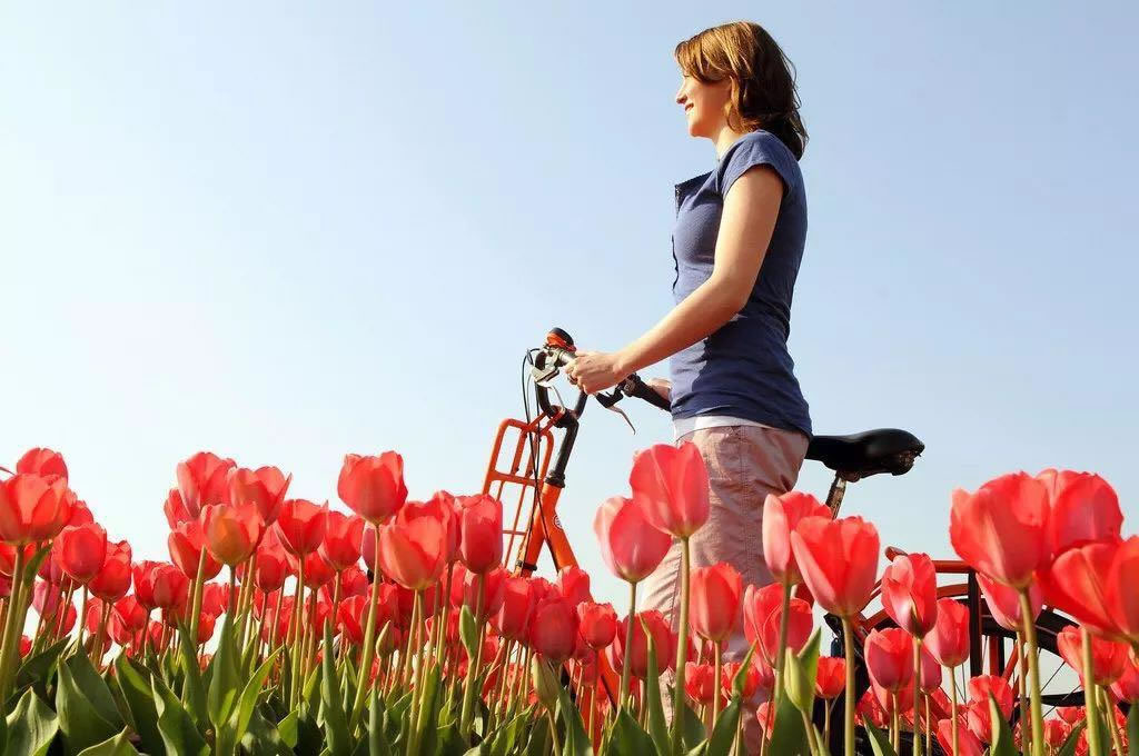 Holanda - Holland - The Netherlands