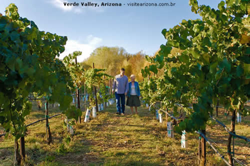 Vinícolas em Verde Valley, Arizona