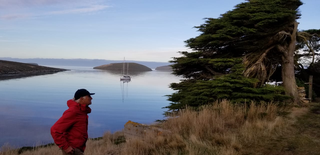 Vilfredo Schurmann - Ilhas Falklands/Malvinas