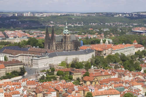 Vindima de São Venceslau de Praga, República Checa