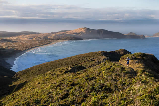 Wellington - Nova Zelndia - by Te Raroa Trail