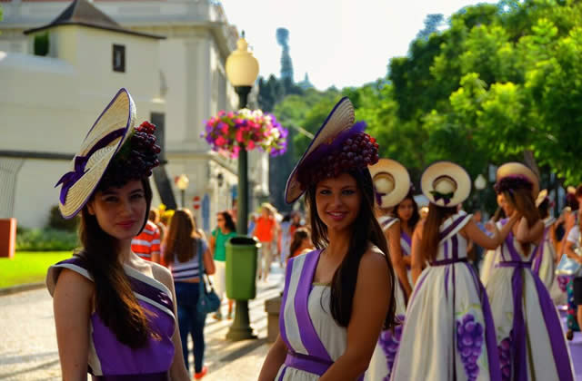 Wine Festival - Funchal