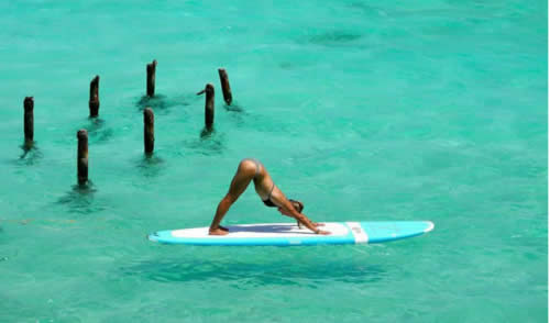 stand up paddle