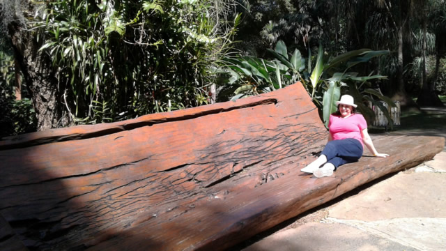 No entorno de Belo Horizonte um museu a cu aberto